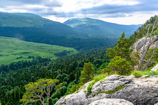 Scenic panoramic view of idyllic rolling hills landscape with blooming meadows and snowcapped alpine mountain peaks. A beautiful sunny day with blue sky and clouds in springtime.