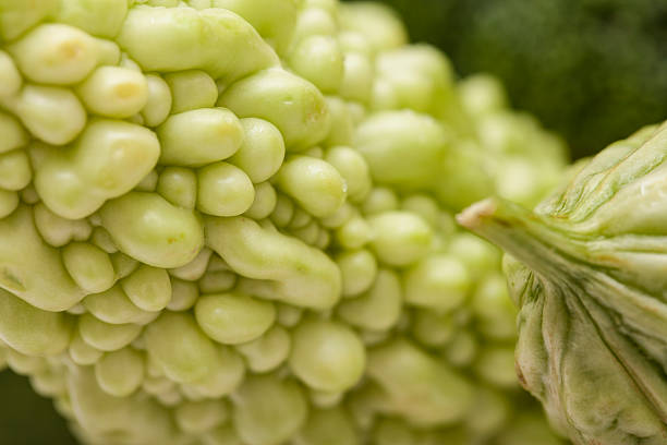 Closeup of bitter gourd stock photo