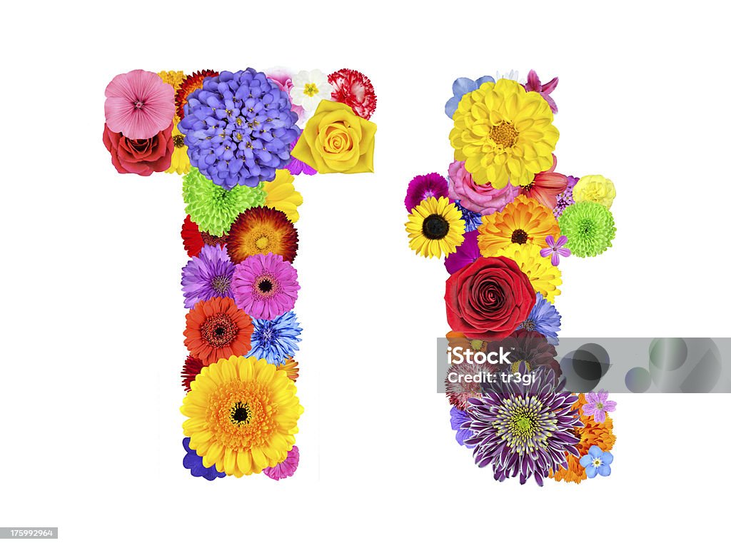 Flower Alphabet Isolated On White Letter T Stock Photo - Download Image Now  - Letter T, Alphabet, Alphabetical Order - iStock