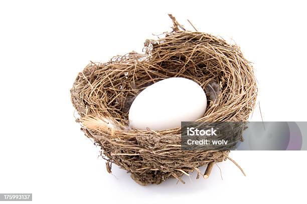 Nest Egg - Fotografias de stock e mais imagens de Branco - Branco, Castanho, Conceito