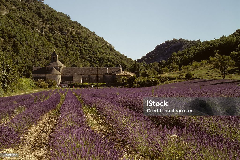 Lavanda campo na Abadia de Senanque - Royalty-free Abadia Foto de stock