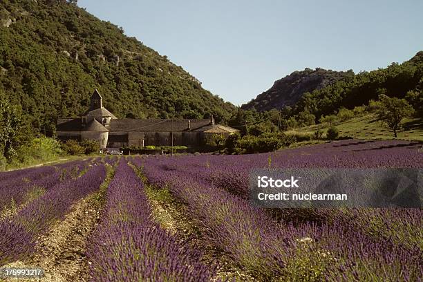 Lavanda Campo Na Abadia De Senanque - Fotografias de stock e mais imagens de Abadia - Abadia, Abadia de Sénanque, Arquitetura