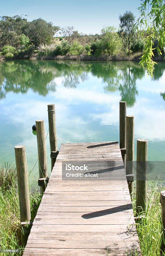 jetty - Foto de stock de Arbusto royalty-free