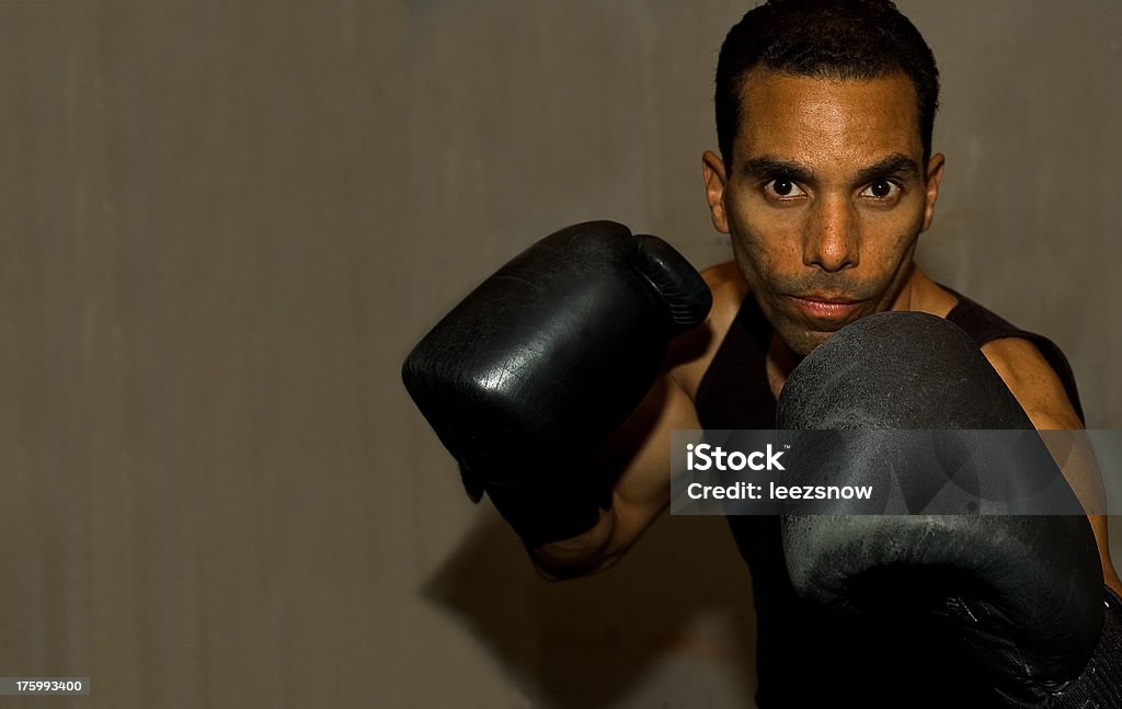 Serie boxeador - Foto de stock de Adulto libre de derechos