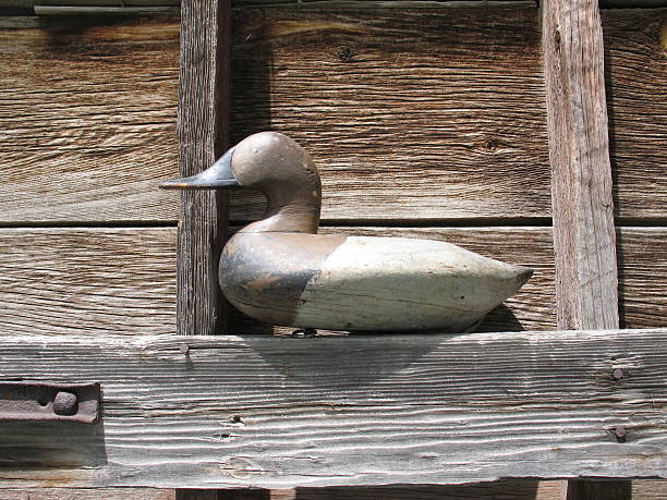 Rustic Duck Decoy stock photo