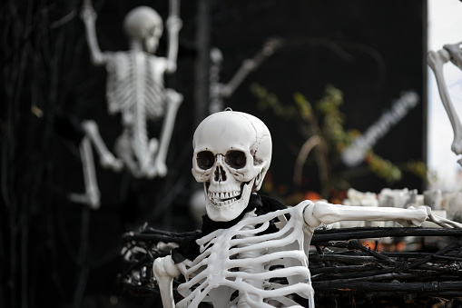Human skeleton model at a Halloween fest