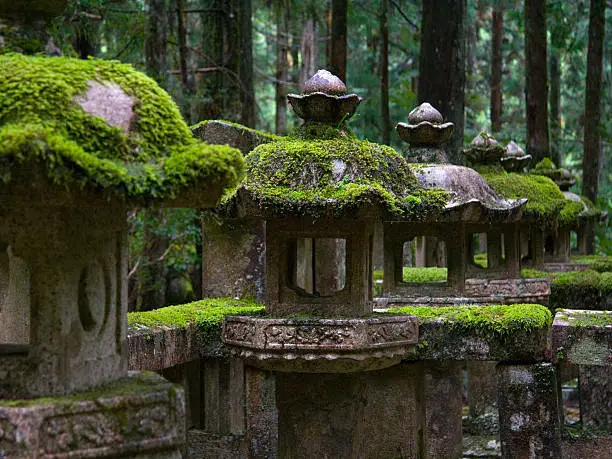 "This photo of moss covered statues was taken in the Okunoin cemetary, which is located in the Buddhist center of Koyasan, Japan."