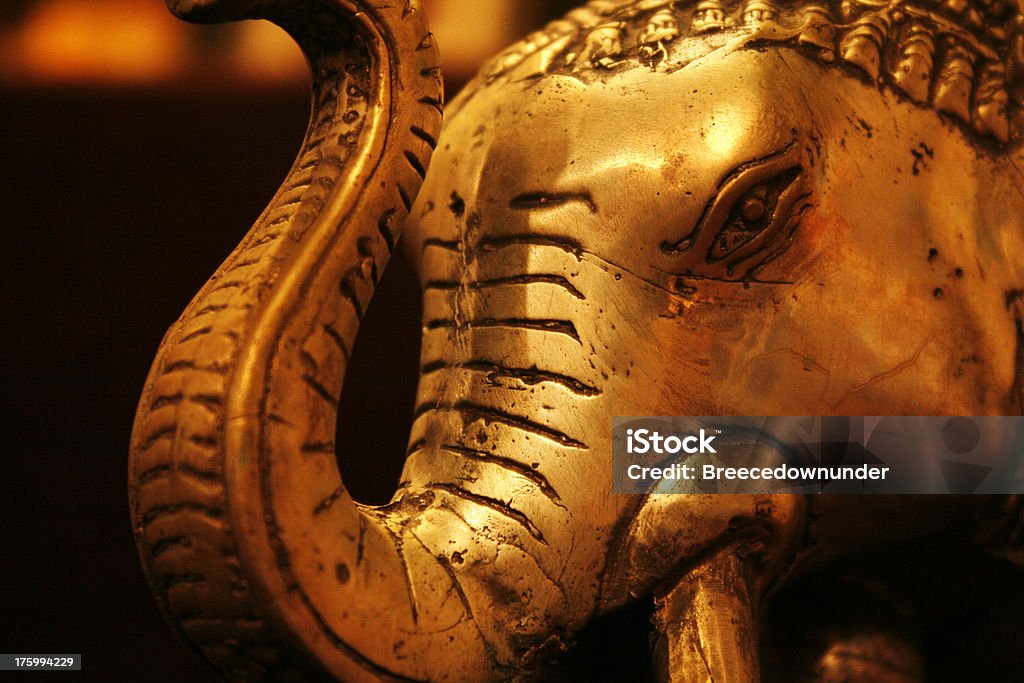 Golden elefante v3 - Foto de stock de Amistad libre de derechos