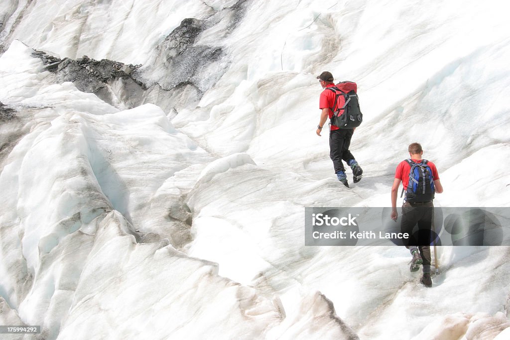 Glaciar de escalada - Royalty-free Alpes do Sul da Nova Zelândia Foto de stock