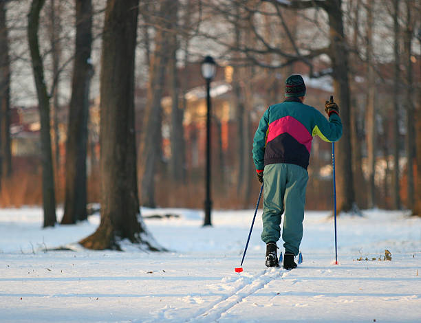 cross country ski dans les bois - scandinavian cross country ski ski nordic countries photos et images de collection