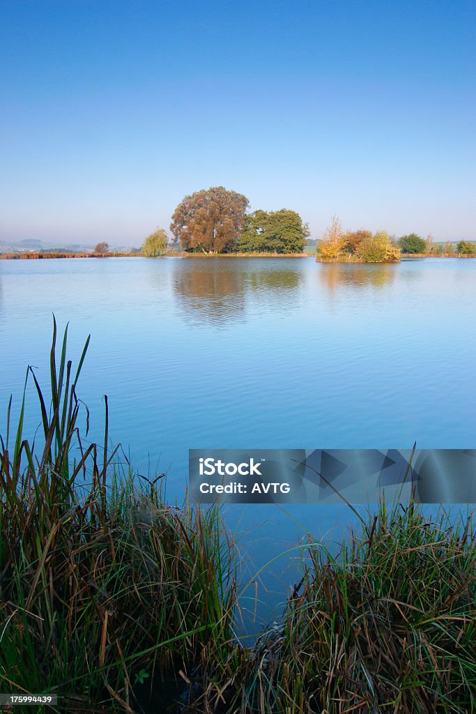 Otoño lago II - Foto de stock de Agua libre de derechos