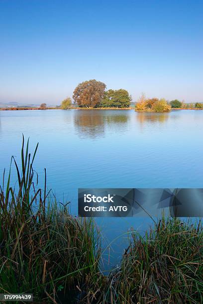 Otoño Lago Ii Foto de stock y más banco de imágenes de Agua - Agua, Aire libre, Ajardinado