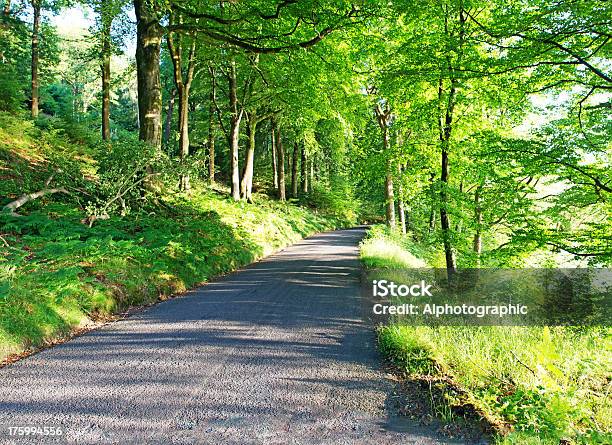 Photo libre de droit de Panorama De La Route Près De Coniston Water banque d'images et plus d'images libres de droit de Activité de loisirs - Activité de loisirs, Angleterre, Avoir une vue d'ensemble