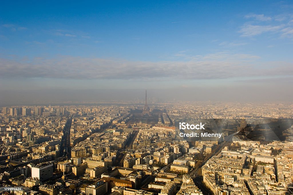 Parigi - Foto stock royalty-free di Albero