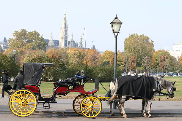 istock Horse-drawn carriage in Vienna, austria 175994774