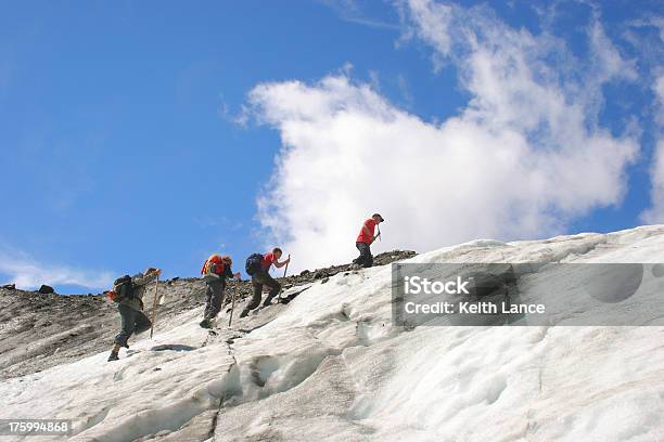 Gletscherwanderung Stockfoto und mehr Bilder von Baum - Baum, Berg, Bergsteigen