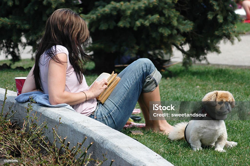 Dziewczynka czytanie w parku - Zbiór zdjęć royalty-free (Czytać)