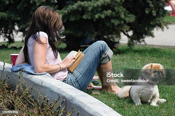 Menina Leitura No Parque - Fotografias de stock e mais imagens de Cão - Cão, Ler, Mulheres