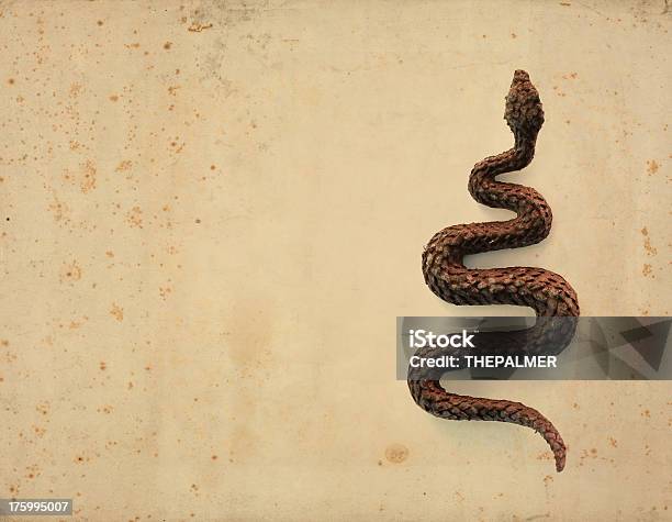 Serpiente On Rusty De Fondo Foto de stock y más banco de imágenes de Animal - Animal, Antigualla, Antiguo