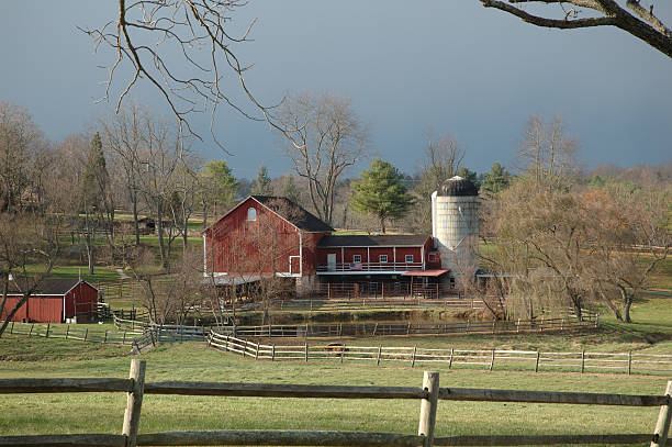 Gray Skies Over the Farm