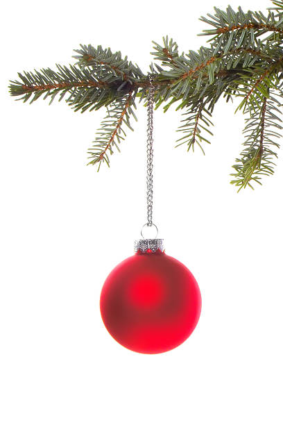 istock Red Christmas Ball Ornament on Branch 175995547