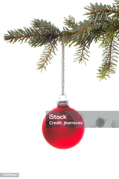 Emblema De Bola Vermelha De Natal Na Ramificação - Fotografias de stock e mais imagens de Bola de Árvore de Natal - Bola de Árvore de Natal, Vermelho, Abeto