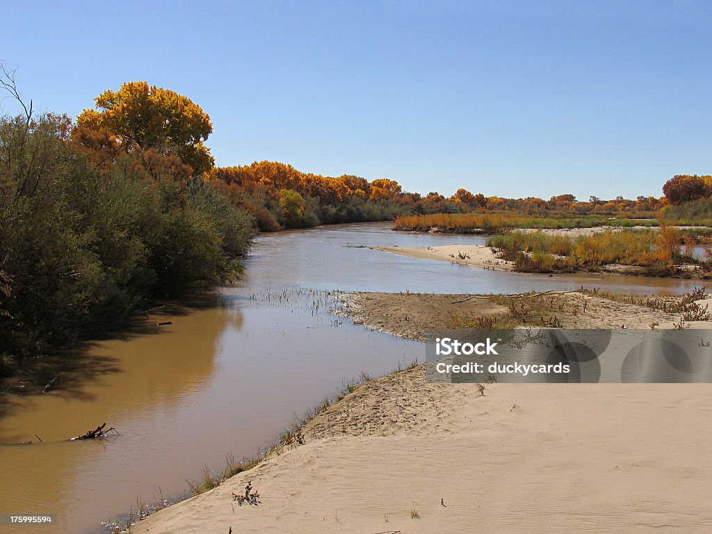 Rio Grande - Autumn The Rio Grande in New Mexico. Autumn Stock Photo