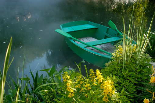 Row boat on a foggy lake surrounded by flowers and tall grass. Row boat is turquoise blue with paddles. Flowers are yellow.