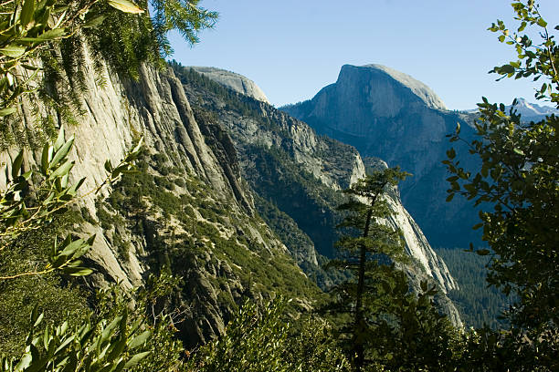 yosemite national park - yosemite falls tree branch landscape stock-fotos und bilder