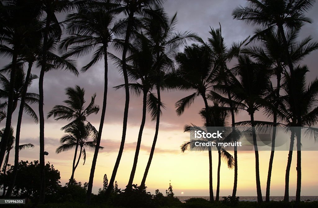 Hawaiischer Sonnenuntergang - Lizenzfrei Abenddämmerung Stock-Foto