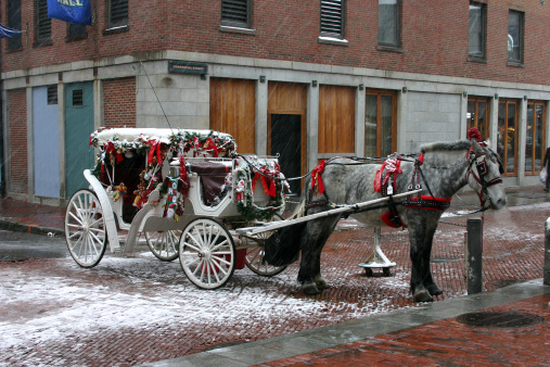 horse drawn carriage in the winter