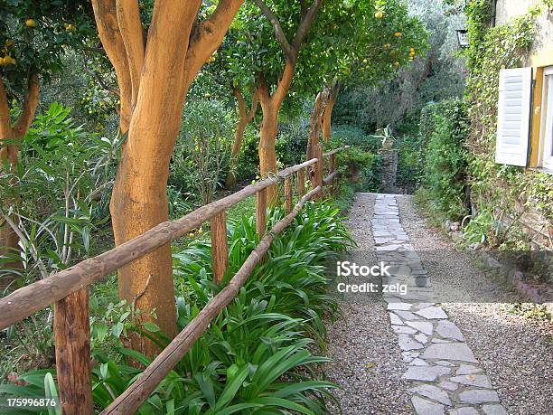 Percorso - Fotografie stock e altre immagini di Portofino - Portofino, Strada, Aiuola