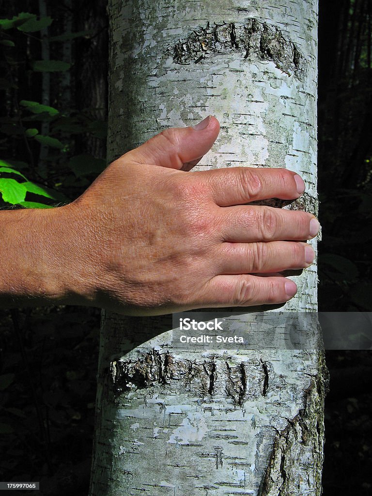 Mano de una bruja - Foto de stock de Abedul libre de derechos