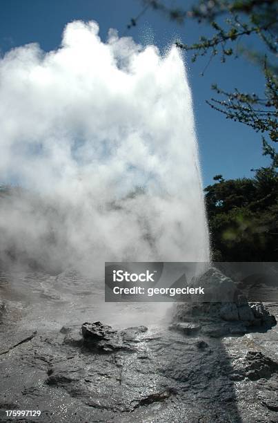 Géiser Lady Knox Nueva Zelanda Foto de stock y más banco de imágenes de Agua - Agua, Aire libre, Calor