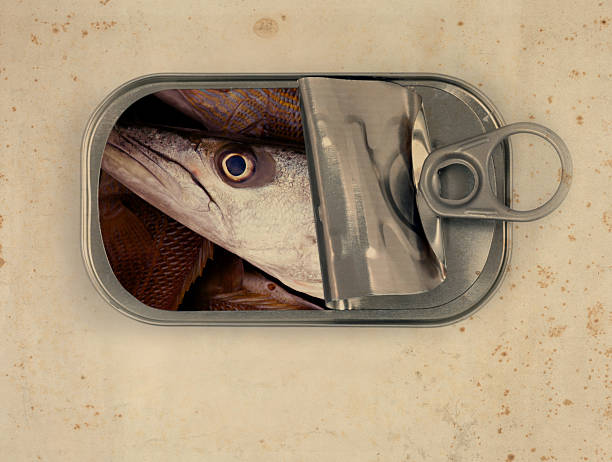 xxl sardines