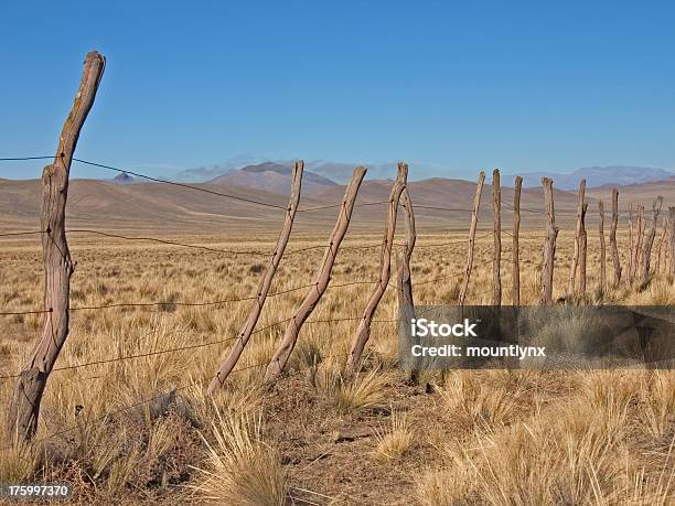 Ogrodzenie - zdjęcia stockowe i więcej obrazów Argentyna - Argentyna, Bariloche, Brązowy