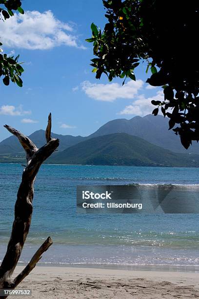 Photo libre de droit de Lîle De Nevis banque d'images et plus d'images libres de droit de Beauté de la nature - Beauté de la nature, Chaleur, Destination de voyage