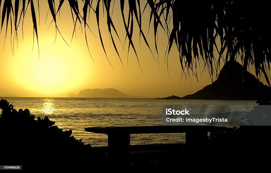 O sol nascente - Foto de stock de Amarelo royalty-free