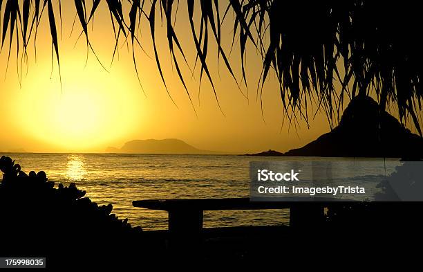 Foto de O Sol Nascente e mais fotos de stock de Amarelo - Amarelo, Banco - Assento, Beleza