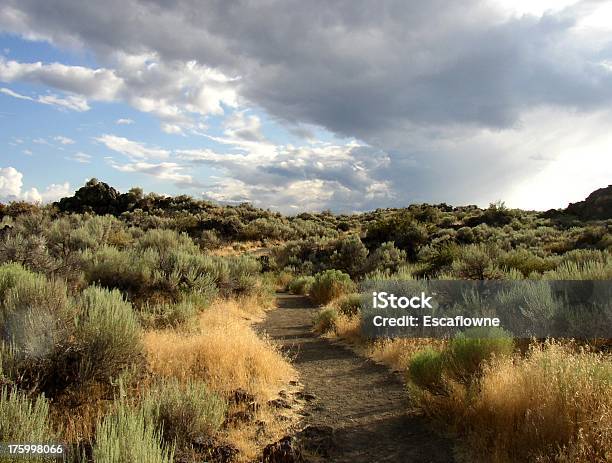 Path Through Sagebrush Stock Photo - Download Image Now - Beauty In Nature, Blue, California