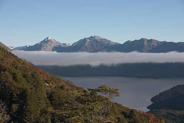 parque nacional de nahuel huapi - cadetral - fotografias e filmes do acervo