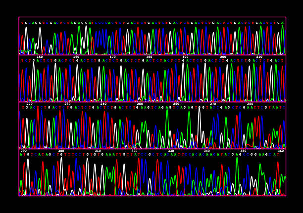 dna-sequence - gentest stock-fotos und bilder