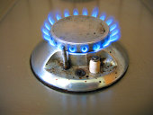 gas-herd.jpg?b=1&s=170x170&k=20&c=VXnNWEOq-RcDoJtJHkc3BIDWt9k0i5yrM9XHbVOE7io=