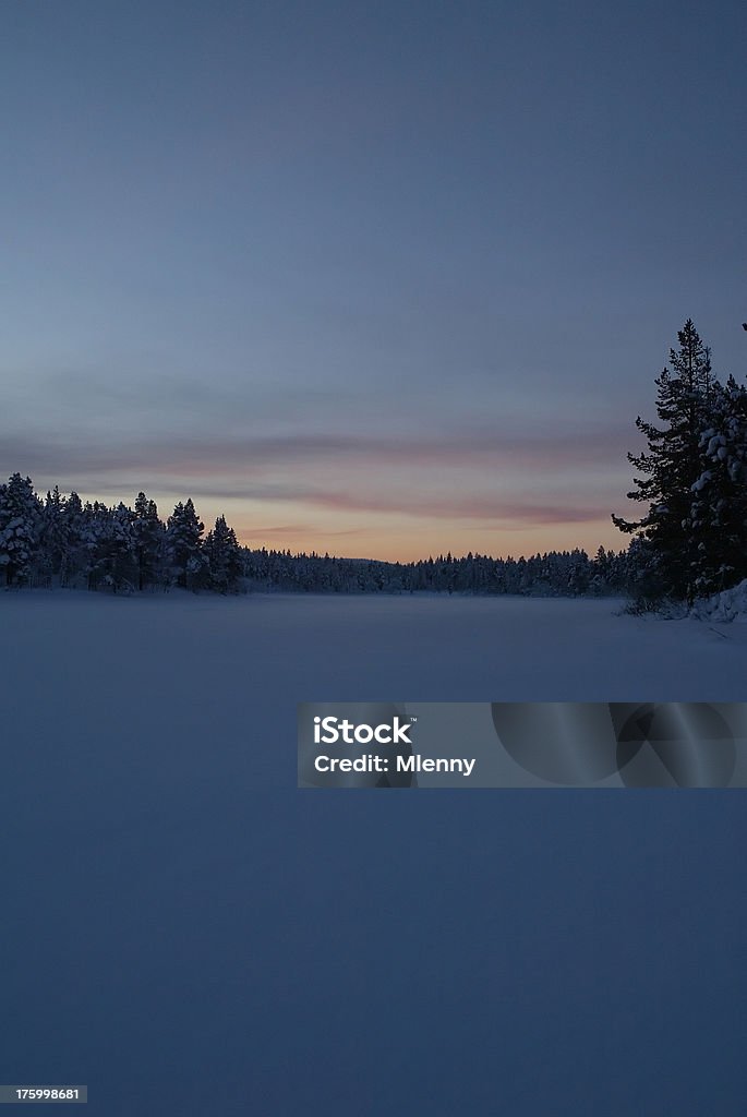 Paisaje de invierno - Foto de stock de Aire libre libre de derechos