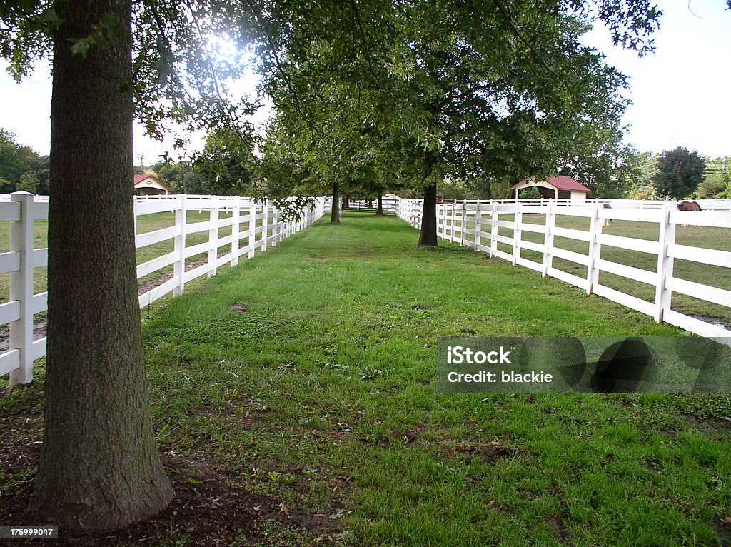 Country Mile "Long walkway of grass and fence<br><br><b> <a href=""http://istockphoto.com/file_search.phpaction=file&userID=96185"">SEE THE REST OF MY PORTFOLIO FOR MANY OTHER IMAGES LIKE THIS</a></b> <br><br><a target=_top href=""http://istockphoto.com/file_closeup.phpid=249616     ""><img src=""http://istockphoto.com/file_thumbview_approve.phpsize=1&id=249616   ""><a target=_top href=""http://istockphoto.com/file_closeup.phpid=239859  ""><img src=""http://istockphoto.com/file_thumbview_approve.phpsize=1&id=239859  ""><a target=_top href=""http://istockphoto.com/file_closeup.phpid=231073 ""><img src=""http://istockphoto.com/file_thumbview_approve.phpsize=1&id=231073""><a target=_top href=""http://istockphoto.com/file_closeup.phpid=199988   ""><img src=""http://istockphoto.com/file_thumbview_approve.phpsize=1&id=199988  ""><a target=_top href=""http://istockphoto.com/file_closeup.phpid=199994   ""><img src=""http://istockphoto.com/file_thumbview_approve.phpsize=1&id=199994  ""><a target=_top href=""http://istockphoto.com/file_closeup.phpid=249616  ""><img src=""http://istockphoto.com/file_thumbview_approve.phpsize=1&id=249616 ""><a target=_top href=""http://istockphoto.com/file_closeup.phpid=286250  ""><img src=""http://istockphoto.com/file_thumbview_approve.phpsize=1&id=286250 ""><a target=_top href=""http://istockphoto.com/file_closeup.phpid=239856   ""><img src=""http://istockphoto.com/file_thumbview_approve.phpsize=1&id=239856  ""><br><br><b> <a href=""http://istockphoto.com/litebox.phpliteboxID=27139"">IF YOU ARE LOOKING FOR RUSTIC IMAGES IN GENERAL, CLICK HERE TO CHECK OUT MY RUSTIC AMERICA LITEBOX</a></b>" Diminishing Perspective Stock Photo