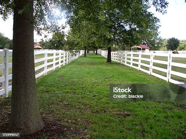 Country Mile Stock Photo - Download Image Now - Diminishing Perspective, Farm, Fence