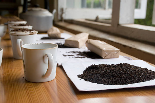 Sri Lanka: Tasting the Teas stock photo