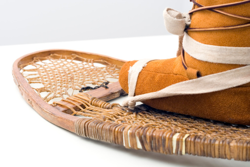 Image of a moccasin mounted on a snowshoe.
