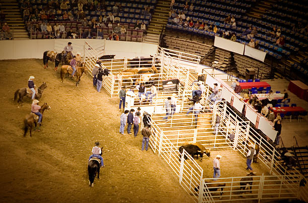 Arena Cowboys and Rodeo stock photo
