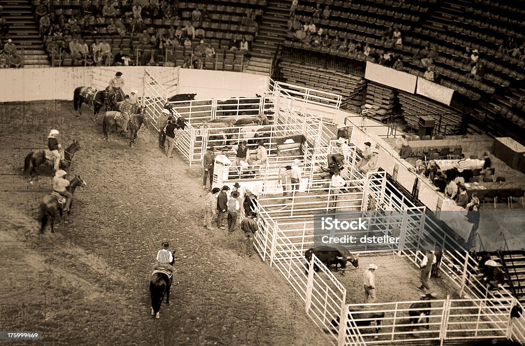 Estadio de los Cowboys y Rodeo (Roughened - Foto de stock de Rodeo libre de derechos